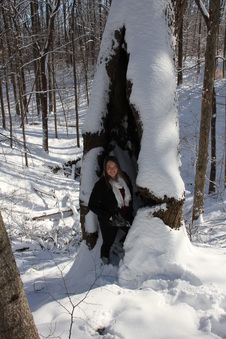 Enlarge photo 82