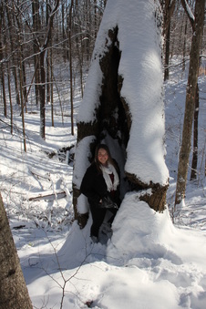 Enlarge photo 83