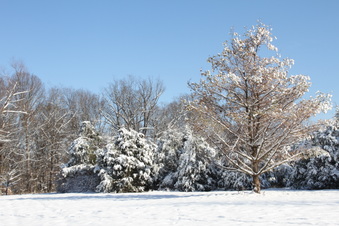 Enlarge photo 111