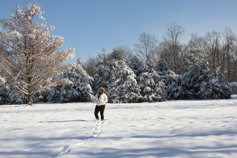 Enlarge photo 116