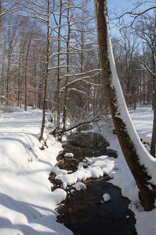Enlarge photo 123