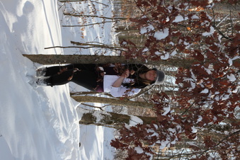 Enlarge photo 135
