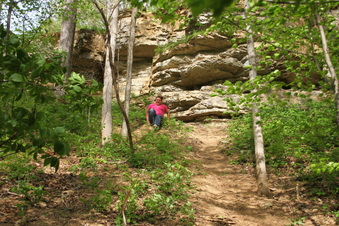 Enlarge photo 104