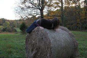 Enlarge photo 129