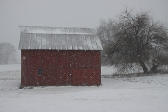 Snow photographs