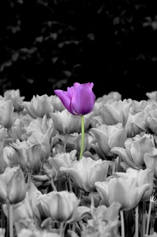 Springtime