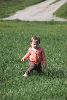 Enlarge photo 80