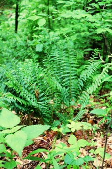 Enlarge photo 3