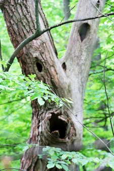 Enlarge photo 5