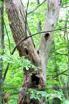 Enlarge photo 6