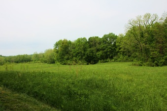 Enlarge photo 17