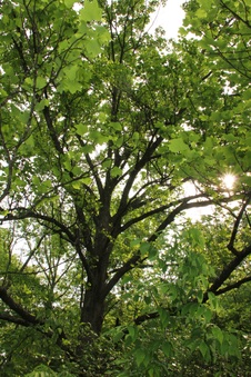 Enlarge photo 19