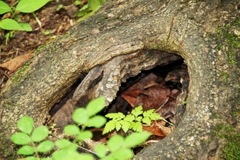 Enlarge photo 21