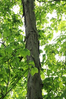Enlarge photo 22