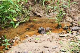 Enlarge photo 27