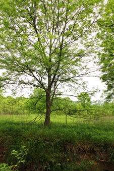 Enlarge photo 28