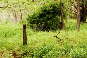 Enlarge photo 31