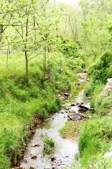 Enlarge photo 32