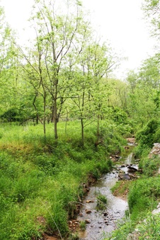 Enlarge photo 33