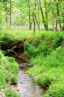 Enlarge photo 34