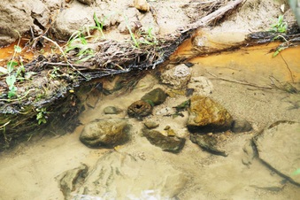 Enlarge photo 36