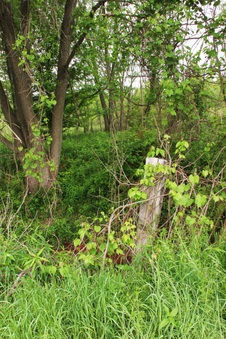 Enlarge photo 43