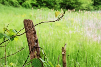 Enlarge photo 45