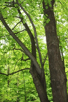 Enlarge photo 53