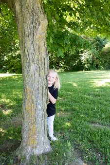 Enlarge photo 60