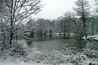 Enlarge photo 2