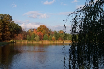 Enlarge photo 17