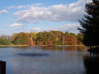 Enlarge photo 18