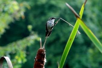Enlarge photo 19