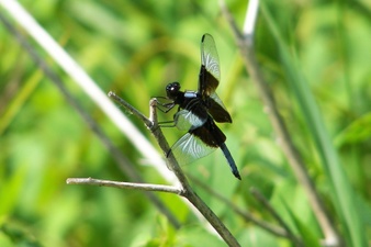Enlarge photo 20
