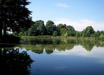 Enlarge photo 22
