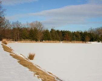 Enlarge photo 26