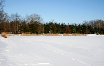 Enlarge photo 28