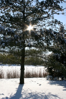 Enlarge photo 29
