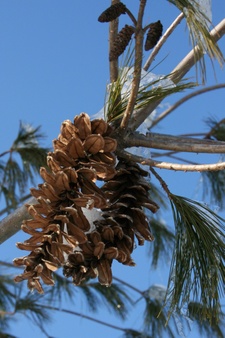 Enlarge photo 30