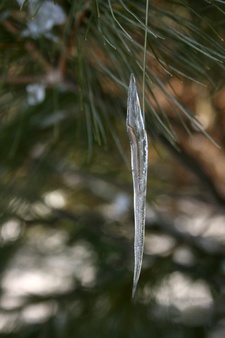 Enlarge photo 31
