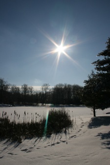 Enlarge photo 32