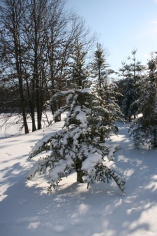 Enlarge photo 34