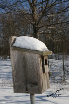 Enlarge photo 37