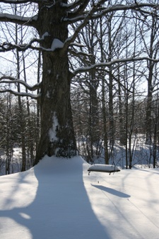 Enlarge photo 40