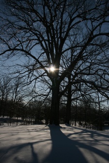 Enlarge photo 41