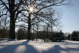 Enlarge photo 42