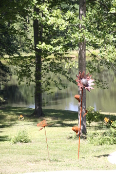 Enlarge photo 57
