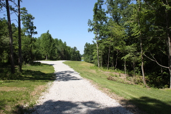 Enlarge photo 62