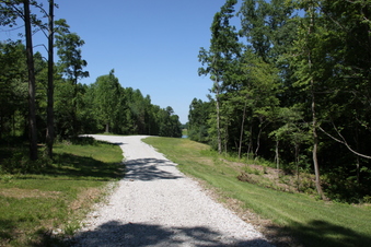 Enlarge photo 63