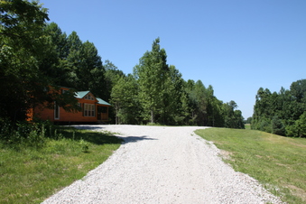 Enlarge photo 64